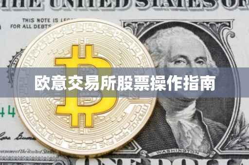 欧意交易所股票操作指南