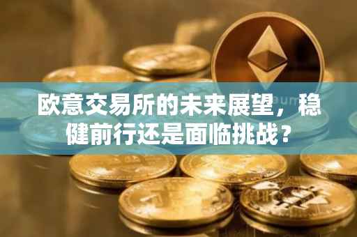 欧意交易所的未来展望，稳健前行还是面临挑战？