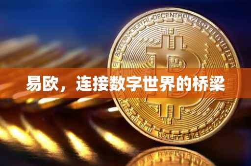 易欧，连接数字世界的桥梁