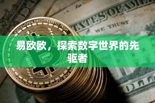 易欧欧，探索数字世界的先驱者