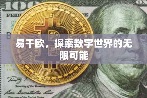 易千欧，探索数字世界的无限可能