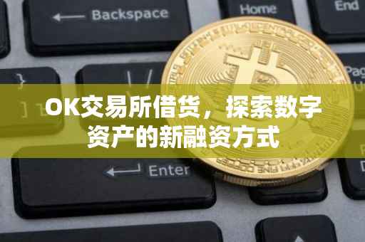 OK交易所借货，探索数字资产的新融资方式