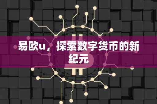 易欧u，探索数字货币的新纪元