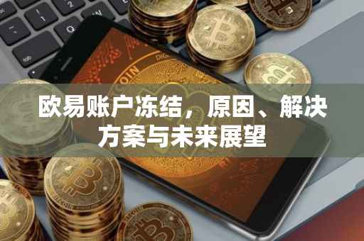 欧易账户冻结，原因、解决方案与未来展望