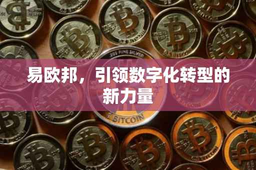 易欧邦，引领数字化转型的新力量