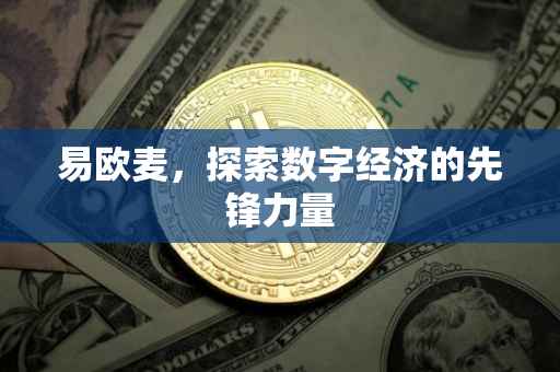 易欧麦，探索数字经济的先锋力量