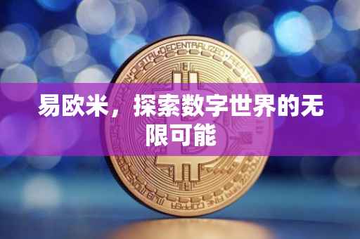 易欧米，探索数字世界的无限可能
