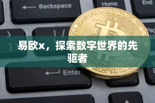 易欧x，探索数字世界的先驱者
