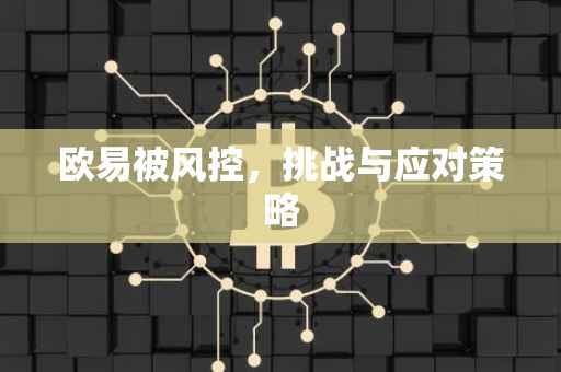 欧易被风控，挑战与应对策略