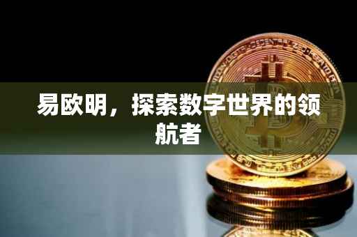 易欧明，探索数字世界的领航者
