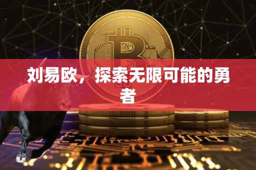 刘易欧，探索无限可能的勇者