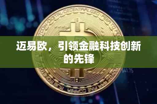 迈易欧，引领金融科技创新的先锋