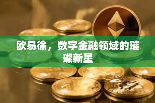 欧易徐，数字金融领域的璀璨新星