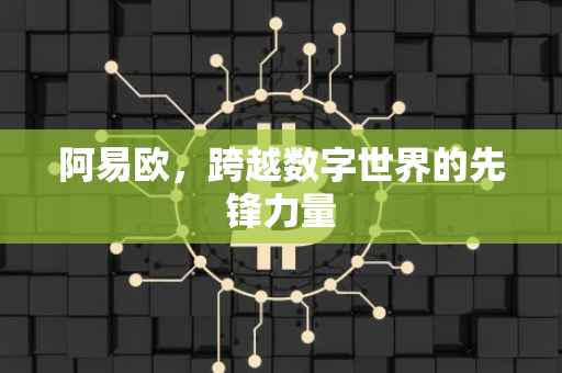 阿易欧，跨越数字世界的先锋力量