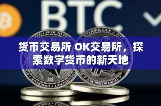 货币交易所 OK交易所，探索数字货币的新天地