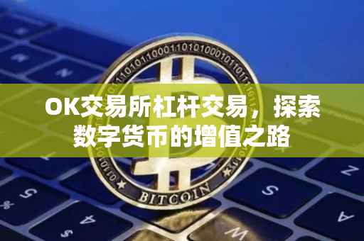 OK交易所杠杆交易，探索数字货币的增值之路