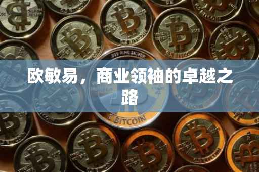 欧敏易，商业领袖的卓越之路
