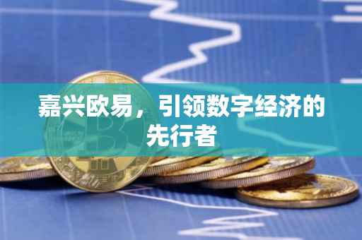 嘉兴欧易，引领数字经济的先行者