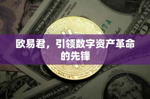 欧易君，引领数字资产革命的先锋