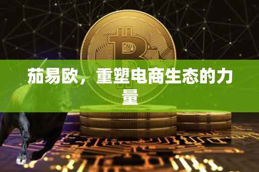 茄易欧，重塑电商生态的力量