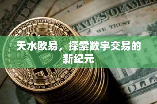 天水欧易，探索数字交易的新纪元