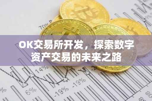 OK交易所开发，探索数字资产交易的未来之路