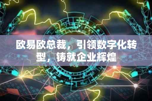 欧易欧总裁，引领数字化转型，铸就企业辉煌