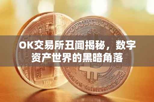 OK交易所丑闻揭秘，数字资产世界的黑暗角落