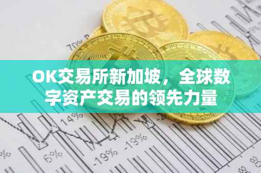 OK交易所新加坡，全球数字资产交易的领先力量