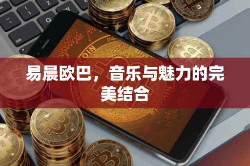 易晨欧巴，音乐与魅力的完美结合