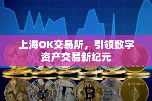 上海OK交易所，引领数字资产交易新纪元