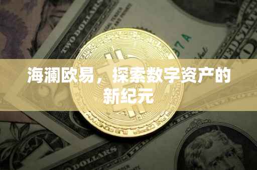 海澜欧易，探索数字资产的新纪元