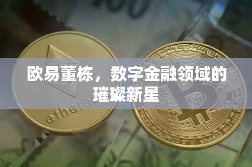 欧易董栋，数字金融领域的璀璨新星