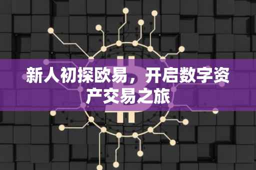 新人初探欧易，开启数字资产交易之旅
