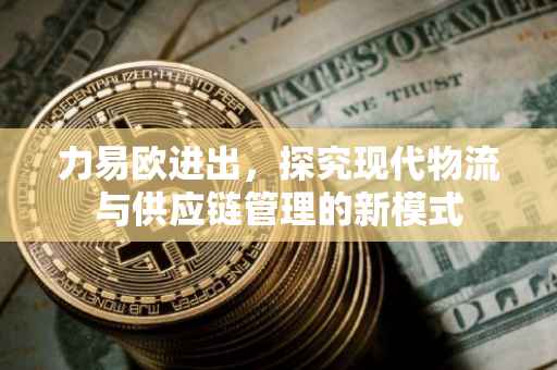 力易欧进出，探究现代物流与供应链管理的新模式