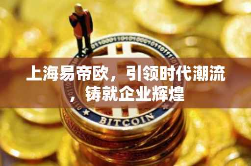 上海易帝欧，引领时代潮流，铸就企业辉煌