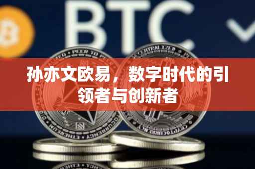 孙亦文欧易，数字时代的引领者与创新者