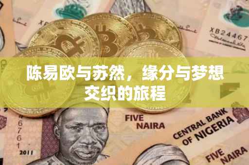 陈易欧与苏然，缘分与梦想交织的旅程