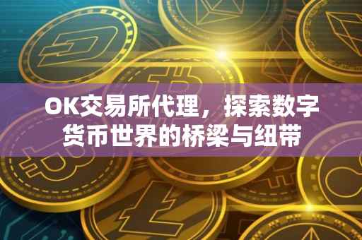 OK交易所代理，探索数字货币世界的桥梁与纽带