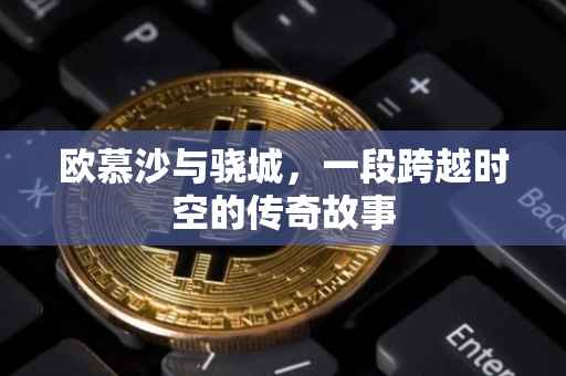 欧慕沙与骁城，一段跨越时空的传奇故事