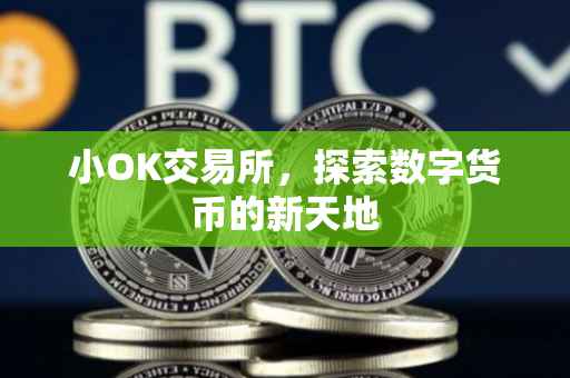小OK交易所，探索数字货币的新天地