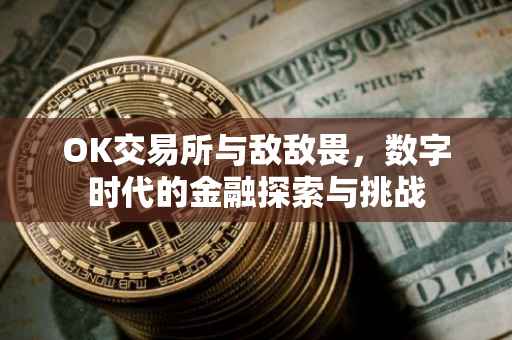 OK交易所与敌敌畏，数字时代的金融探索与挑战
