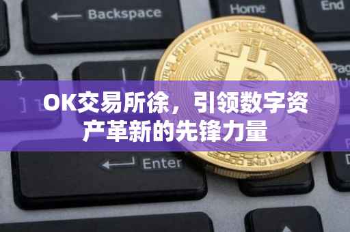 OK交易所徐，引领数字资产革新的先锋力量
