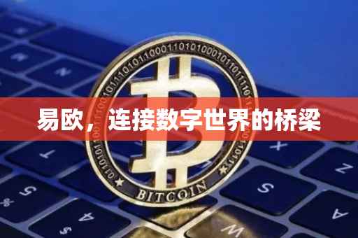 易欧，连接数字世界的桥梁