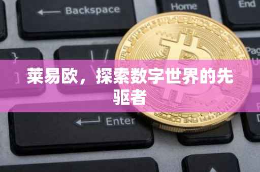 莱易欧，探索数字世界的先驱者