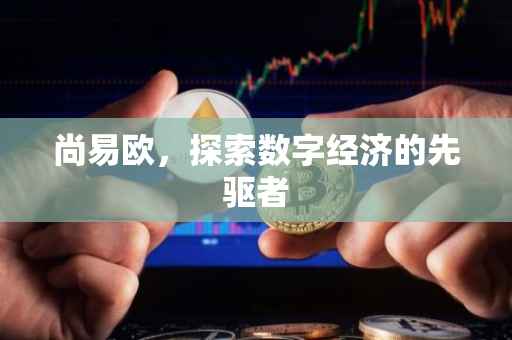 尚易欧，探索数字经济的先驱者