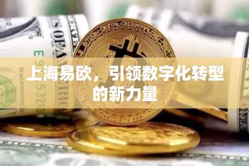 上海易欧，引领数字化转型的新力量