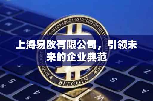 上海易欧有限公司，引领未来的企业典范