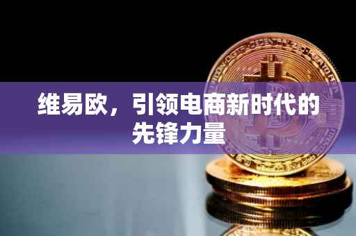 维易欧，引领电商新时代的先锋力量
