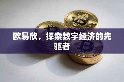 欧易欣，探索数字经济的先驱者